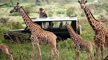 4-Days Best of Masai Mara Wildlife Lodge Safari