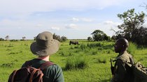 1 day ziwa Rhino sanctuary