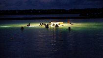 Night Snorkeling Experience in Mirissa