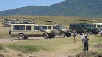 3-Day Taste of Tanzania Safari (Tarangire National park and Ngorongoro Crater) 