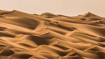 Private Liwa Full Day Desert Safari Tour with Lunch From Abu Dhabi
