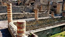 Half Day Herculaneum from Sorrento