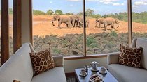 10 Days Special Kenya Safari