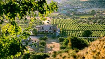 BEST Peloponnese Wine Roads Tour with Ancient Nemae