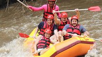 Ayung River Whitewater Rafting and Ubud Arts Village Tour