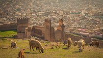 Fes Private Guided Tour