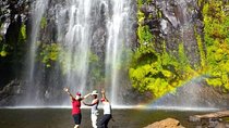 1 Day Tour to Materuni Waterfalls and Coffee Tour