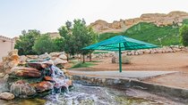 Private Tour : Al Ain City Sightseeing with Lunch from Dubai