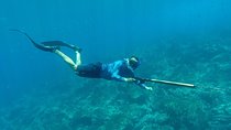 Discover Spearfishing course