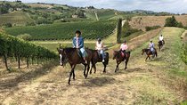 Horseback Ride in S.Gimignano with Tuscan Lunch Chianti Tasting