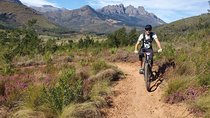 Private Mountain Biking Tour from Cape Town