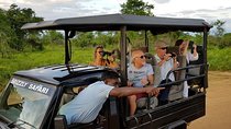 Yala half day safari 