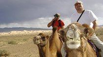 1 Day Semi-Gobi Tour with Lunch And Enjoying Camel or Horseback