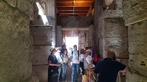 Colosseum Underground, Roman Forum Palatine Hill Small Group Tour