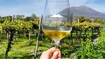 Tour of Pompeii with tour guide plus wine testing and lunch in a winery Vesuvius