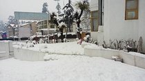 Shimla Manali Tour Package