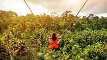 Bali Swing Experience and Ubud Tour