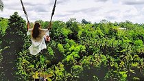 Bali Swing Experience and Kintamani Volcano Tour