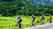 Nature cycling trail: paddy fields, cinnamon forests and villages – Galle
