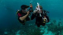 PADI Scuba Diver Course