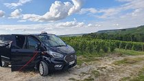Private Day Trip from Paris to Reims and the Champagne Region