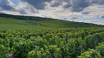 Private Day Trip from Paris to Reims and the Champagne Region