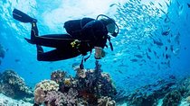  Hurghada: Full-Day Diving Tour with Lunch & Two Dive Sites