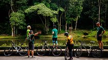 Mountain Bike Tijuca Rainforest