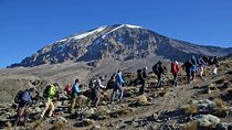 Kilimanjaro Climb - 8 Days Lemosho Route