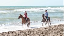 Rome: Horseback Riding on the Beach with aperitif 
