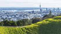 Private Auckland City Tour Including Auckland Tour House Visit