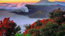Private Tour : Bromo Ijen Tour From Bali
