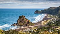Private Auckland's West Coast - Piha/ Muriwai - Wild West Tour