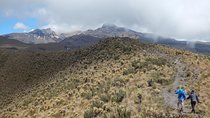 Discover Frailejones in Los Nevados National Natural Park (2 days)