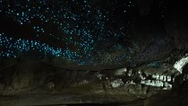 Private Waitomo Caves Tour - Auckland Tour House