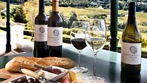 Private Constantia Wine Tour