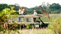 9 Days Kenya Classic Lodge Safari