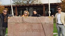 Casas del Bosque y Bodegas RE