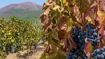 Private Mt Vesuvius and Pompeii with Lunch and Wine Farm Experience 