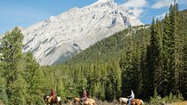 4 Hour Sulphur Mountain Horseback Ride