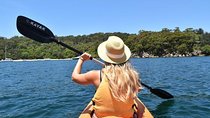 Single Kayak Hire - 4 Hours