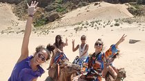 From Tarifa to Tangier: Exclusive Trip, Camel Ride, Lunch & Ferry