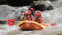 Half Day White Water Rafting Adventure from Bali 