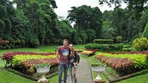 3 Days Heritage And Cultural Private Tour - Kandy, Minneriya NP, Sigiriya…