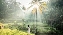 Full-day ubud private tour - monkey forest - waterfall - free wifi