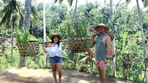 Exotic Ubud Tour including Jungle Swing Experience