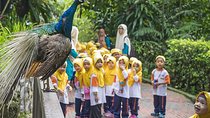 Bird Park & Butterfly Farm Nature Tour From Kuala Lumpur