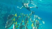 Land's End & Snorkel Tour in a Glass Bottom Boat (VisitA Cabo)