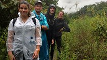 Inca Jungle Trek to Machu Picchu 4D/3N - Special Offer