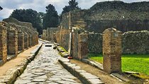 Day trip to Pompeii from Naples